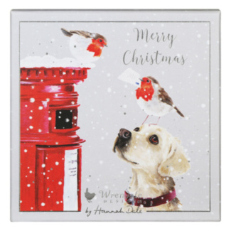 ‘Letters to Santa’ Dog & Robins Set Of 8 Luxury Boxed Christmas Cards