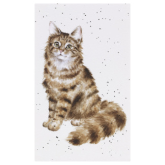 ‘Feline Fabulous’ Cat Notepad