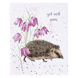 ‘Little Wanderer’ Hedgehog Get Well Soon Card