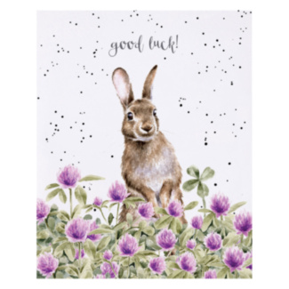 ‘The Clover Patch’ Hare Good Luck Card