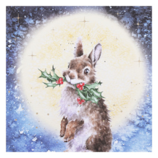 ‘By The Light of The Moon’ Rabbit Christmas Card