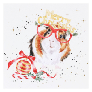 ‘Christmas Guinea Pig’ Christmas Card
