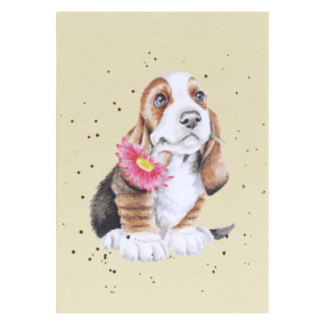 'Just for You' Basset Hound A6 Notebook