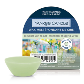 Cucumber Mint Cooler Wax Melt