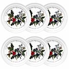 Set of 6 10 Inch Dinner Plates