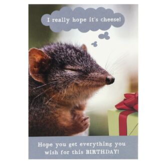 Animal Antics ‘Really Hope It’s Cheese!’ Birthday Card