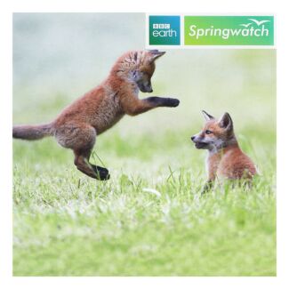 Springwatch – Red Fox Cubs Greeting Card