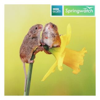 Springwatch – Harvest Mice Greetings Card
