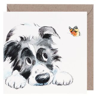 Collie & Butterfly Square Greetings Card