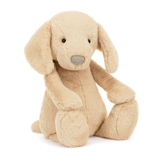 Bashful Luxe Puppy Orlando Big