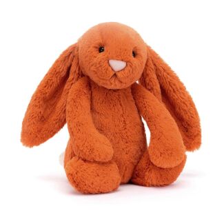 Medium Bashful Tangerine Bunny