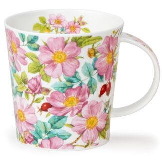 Wild Rose Benmore Shape Mug