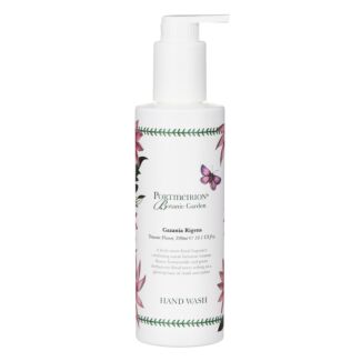 Treasure Flower 300ml Hand Wash