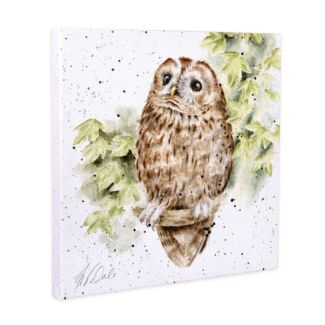  ‘Treetops’ Owl Large Canvas 