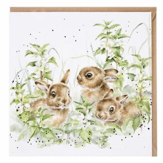 ‘Spring Hares’ Hare Greetings Card