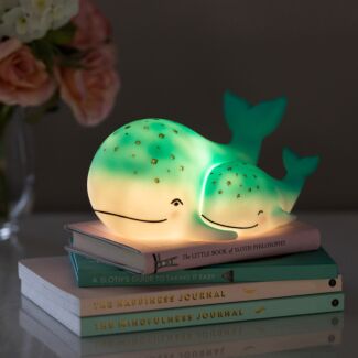 Led Rechargeable Whale and Baby Lamp House of Disaster