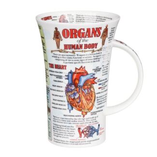 Organs of the Human Body Glencoe Shape Mug