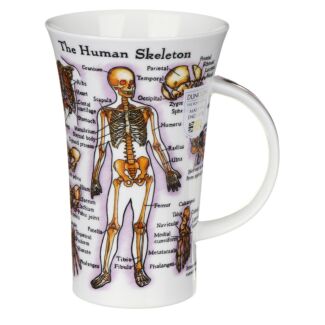 Human Skeleton Glencoe shape Mug