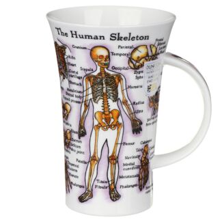 Human Skeleton Glencoe Shape Mug