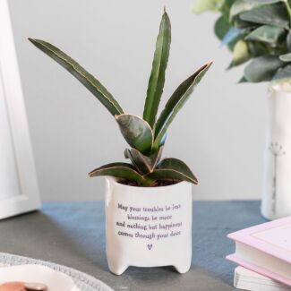 ‘May Your Troubles Be Less’ Planter