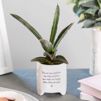 ‘You Are My Sunshine’ Planter