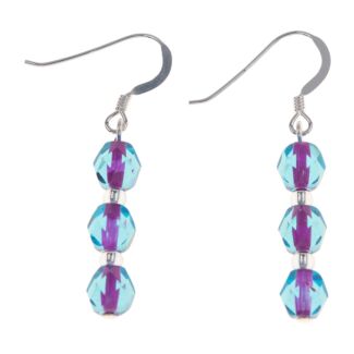 Blue & Pink Filaments Earrings