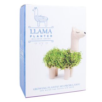 Llama Planter