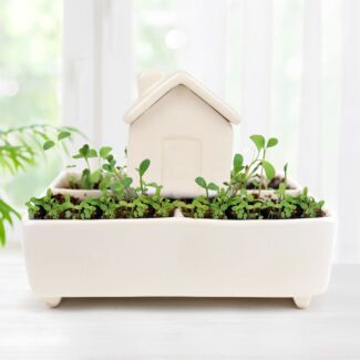 Self Watering House