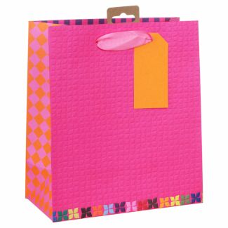 Colour Hub Pink Medium Gift Bag
