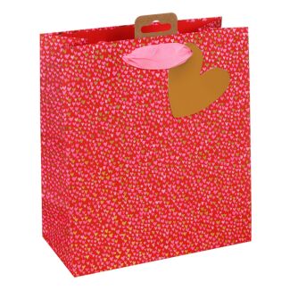 Paper Salad Love Hearts Medium Valentine’s Gift Bag