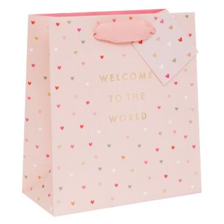 ‘Welcome To The World’ Pink Medium Gift Bag