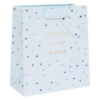 ‘Welcome To The World’ Blue Medium Gift Bag