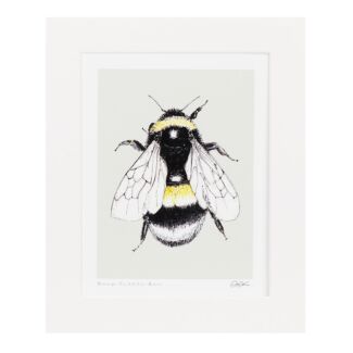 ‘Busy Little Bee’ 10” x 12” Fine Art Print