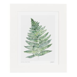 ‘Woodland Fern’ 10” x 12” Fine Art Print