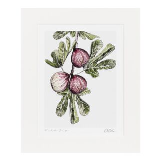 ‘Wild Fig’ 10” x 12” Fine Art Print