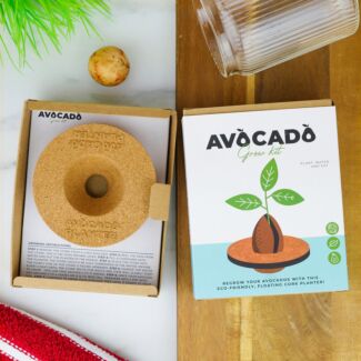 Avocado Grow Kit