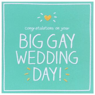 Big Gay Wedding Day