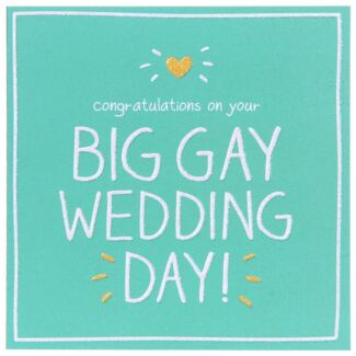 Big Gay Wedding Day