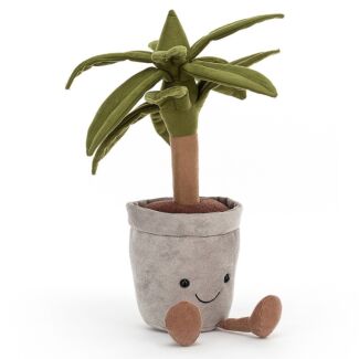 Amuseable Dragon Tree