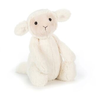 Medium Bashful Lamb