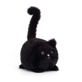 Black Caboodle Kitten