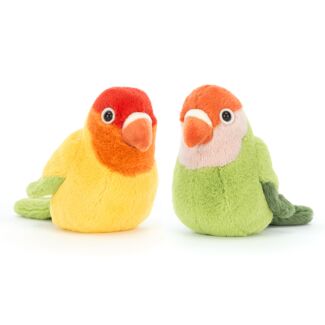 A Pair Of Lovely Lovebirds