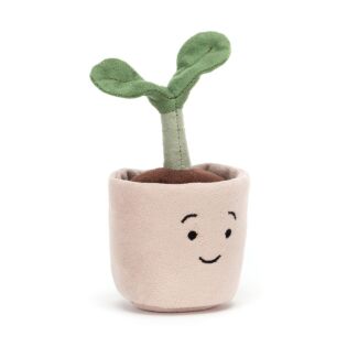 Happy Silly Seedling
