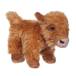 Highland Cow Calf