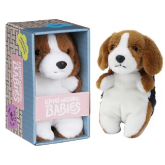 Babies Beagle