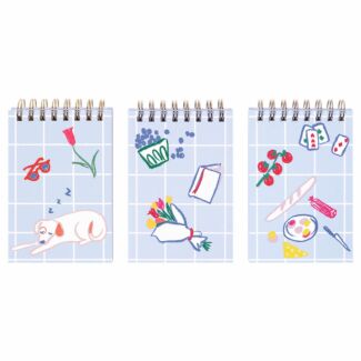 Park Picnic Set of Three Spiral Notepads