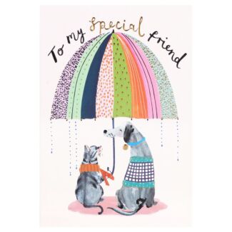 ‘Cat And Dog’ Special Friend Card