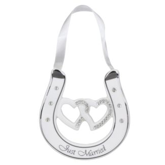 Assorted Wedding Horseshoe Hanging Plaque