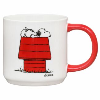 Allergic To Mornings Boxed Mug