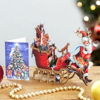 Cat Sleigh 3D Christmas Card